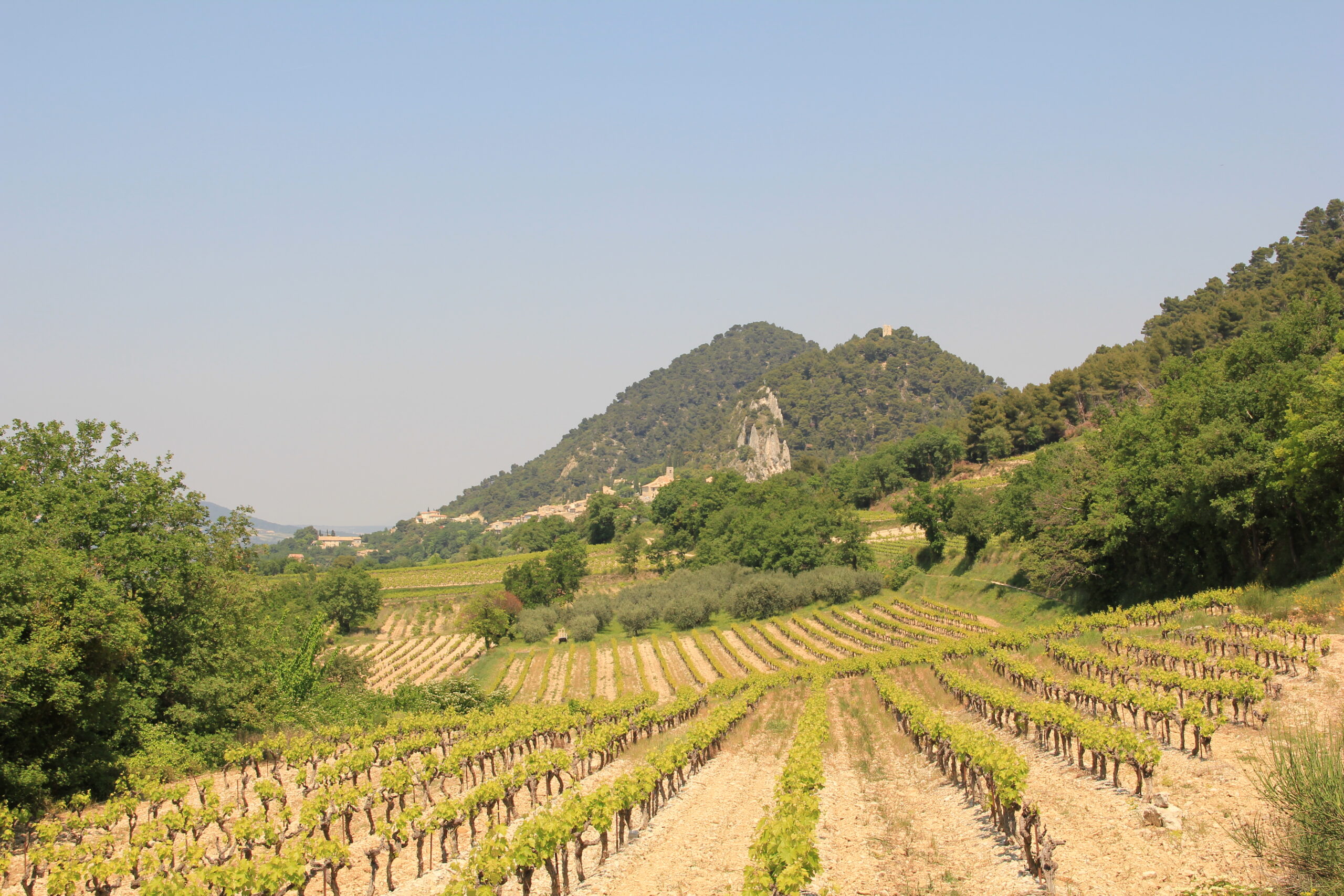 Das Land der Dentelles