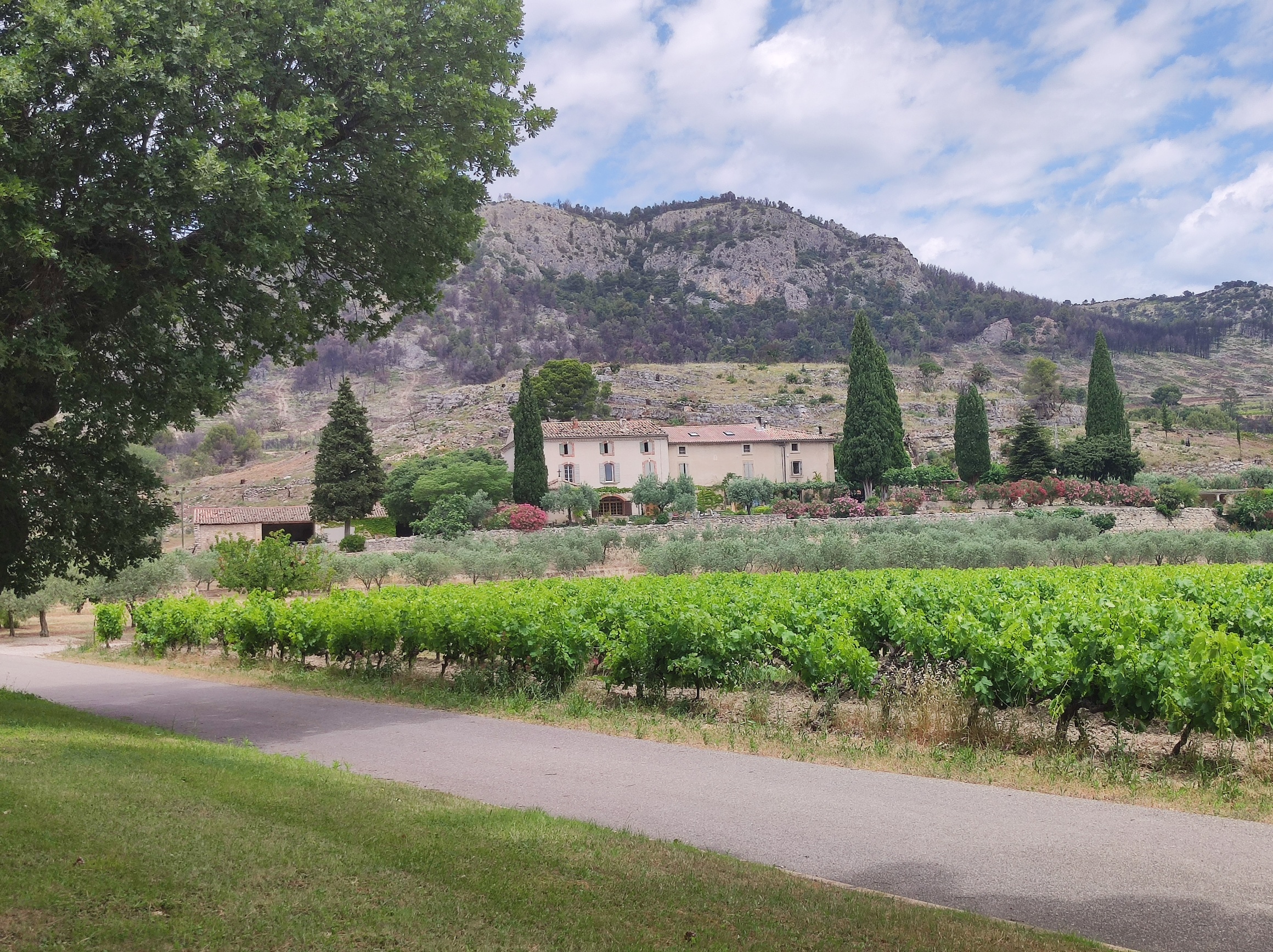 Im Département Alpes-de-Haute-Provence